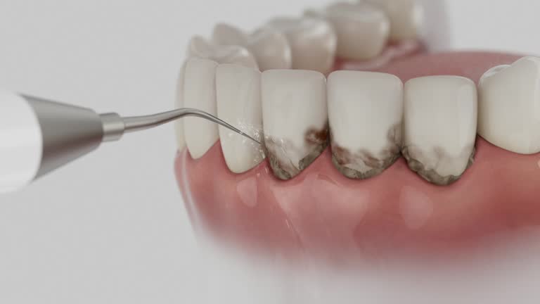 Reliable Dental contractor in Paramount-Long Meadow, MD by Dentist Open Now